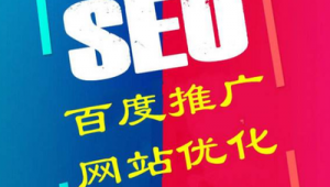 seo主要是指优化_网络优化与seo的联系与区别