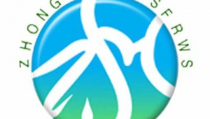 网站做成软件(软件制作网页)