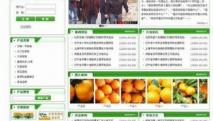 峡江seo网站优化招聘_峡江seo网站优化公司