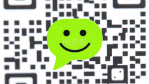 微站群